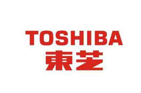 東芝電器模具制造